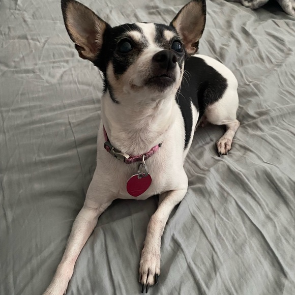 Meet your Posher, Nikolette - Picture 7 of 16